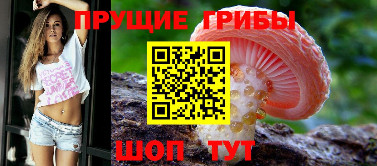 Галлюциногенные грибы мицелий Гатчина
