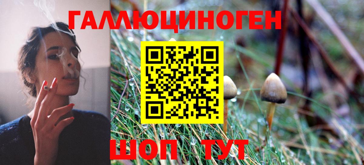 Галлюциногенные грибы Magic Shrooms  Вход с VPN  Гатчина 